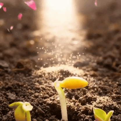 🌼 Semillas Premium de Rosas Trepadoras Exóticas Importadas de España🌱 🌹 Haz Florecer un Jardín de Ensueño